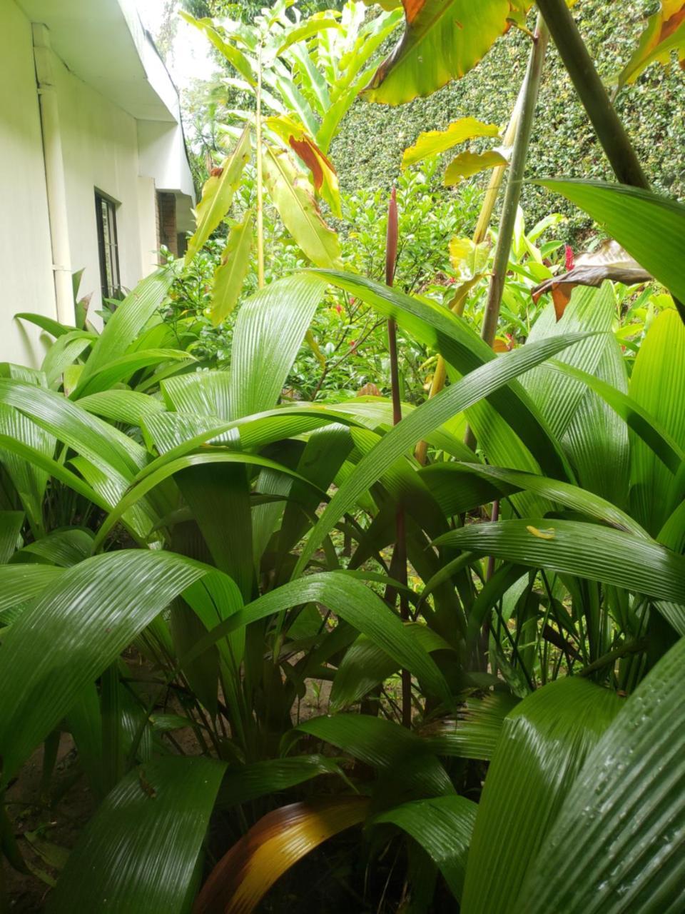 Domus Hotel San Salvador Luaran gambar