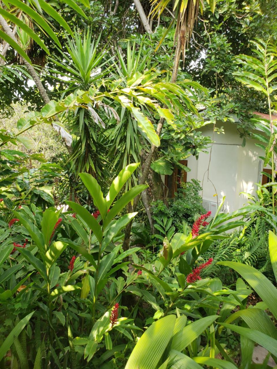 Domus Hotel San Salvador Luaran gambar