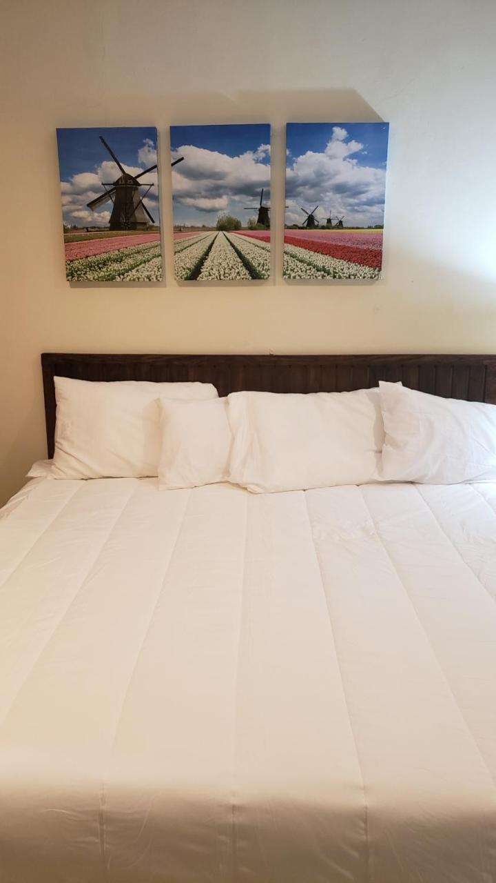 Domus Hotel San Salvador Luaran gambar